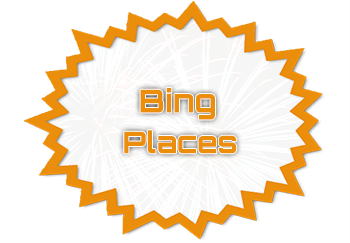 Bing Places Management Services