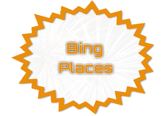 Bing Places Management