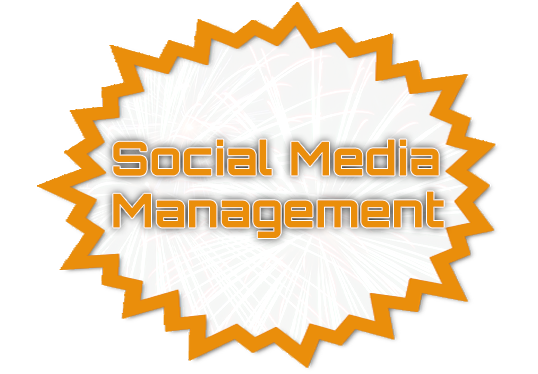 PJT Social Media Management Services