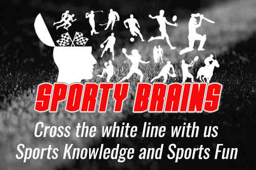 Sporty Brains Niche Website Information