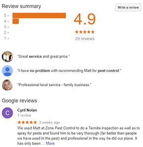 Google my Business Reviews